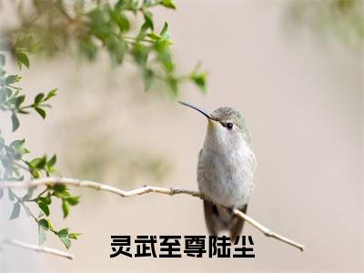 灵武至尊陆尘（灵武至尊陆尘）全文免费阅读无弹窗大结局_灵武至尊陆尘最新章节列表_