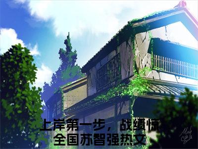 上岸第一步，战绩惊全国苏智强在线全文免费阅读上岸第一步，战绩惊全国苏智强是主角的小说