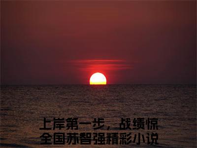 上岸第一步，战绩惊全国苏智强（上岸第一步，战绩惊全国苏智强小说全文）在线阅读无弹窗大结局-上岸第一步，战绩惊全国苏智强全文无删减版阅读