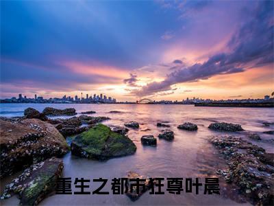 重生之都市狂尊叶晨言情小说免费观看-小说(重生之都市狂尊叶晨)最新章节阅读