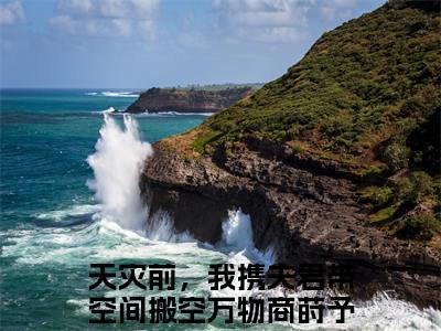 天灾前，我携夫君带空间搬空万物商莳予小说(天灾前，我携夫君带空间搬空万物商莳予)小说全文免费阅读_（天灾前，我携夫君带空间搬空万物商莳予）天灾前，我携夫君带空间搬空万物商莳予最新章节列表