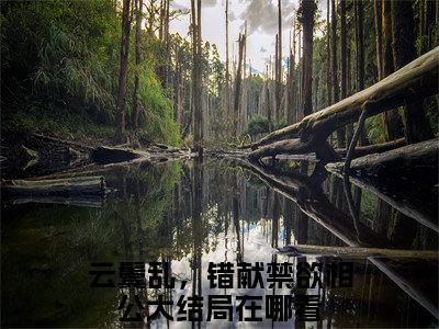 陆霁安容央小说在线阅读全文无弹窗大结局_云鬓乱，错献禁欲相公小说免费最新章节列表（全文）+（后续）