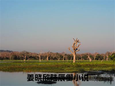 姜晓欣陆辰御（姜晓欣陆辰御）全文免费阅读无弹窗大结局_姜晓欣陆辰御小说全文免费阅读最新章节列表_笔趣阁