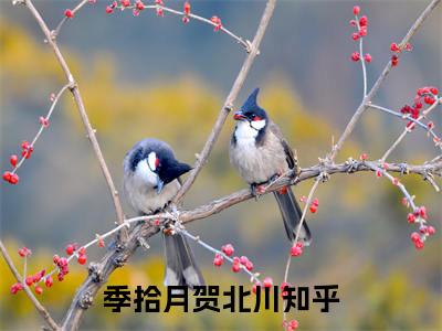 季拾月贺北川（季拾月贺北川txt）全文免费阅读无弹窗大结局_季拾月贺北川最新章节列表_笔趣阁（季拾月贺北川txt）