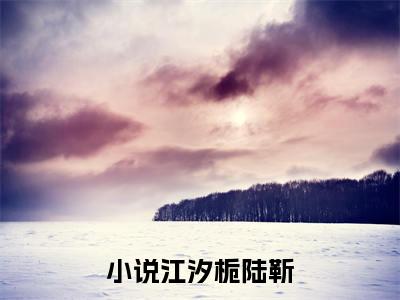 主人公叫（江汐栀陆靳）的小说-江汐栀陆靳免费阅读最新章节列表_笔趣阁