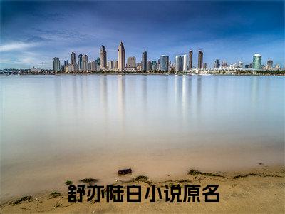 舒亦陆白全文免费阅读无弹窗大结局_舒亦陆白(舒亦陆白)小说结局免费阅读（舒亦陆白）