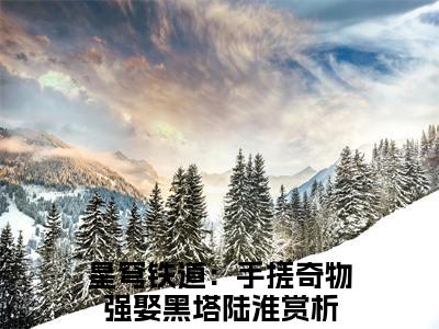 星穹铁道：手搓奇物强娶黑塔陆淮无广告小说正版在线阅读，星穹铁道：手搓奇物强娶黑塔陆淮全文在线阅读大结局