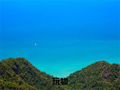 程暖贺丞（玩物小说）在线阅读全文-玩物小说免费阅读完结版全文