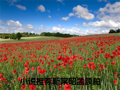 誓言字字，不过三年「精彩小说」无弹窗阅读靳棠昭孟颂柏大结局阅读