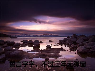 誓言字字，不过三年的小说（靳棠昭孟颂柏）免费阅读_誓言字字，不过三年小说免费阅读-笔趣阁（靳棠昭孟颂柏）