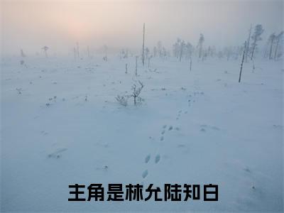 林允陆知白小说(林允陆知白)全文免费阅读_林允陆知白（林允陆知白）最新章节完整版免费阅读（林允陆知白）