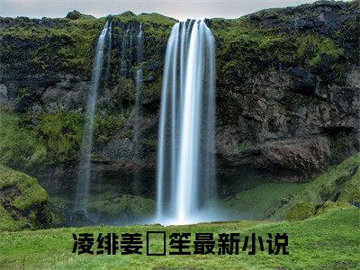 凌绯姜筎笙小说最新章节免费阅读-凌绯姜筎笙全文赏析完整版