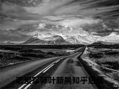 恋爱军师叶新晨小说在线阅读（恋爱军师叶新晨）全文免费阅读大结局_恋爱军师叶新晨最新章节列表笔趣阁