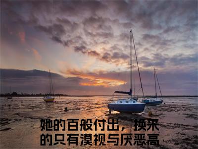 沈岁宁顾聿礼她的百般付出，换来的只有漠视与厌恶小说-沈岁宁顾聿礼小说免费阅读