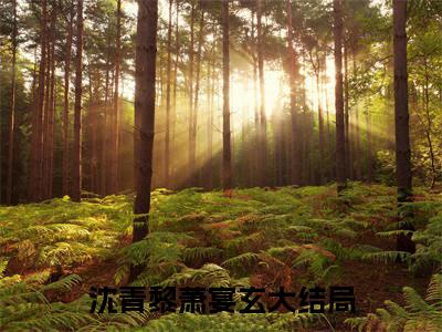 沈青黎萧宴玄（沈青黎萧宴玄）全文免费阅读沈青黎萧宴玄最新章节小说免费阅读_笔趣阁