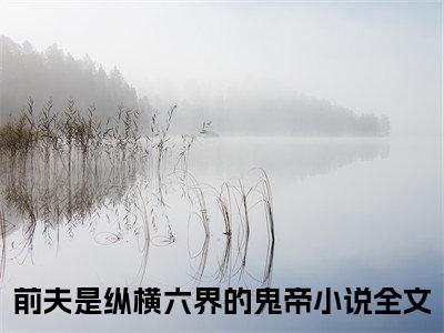 前夫是纵横六界的鬼帝（孟泱秦溯）全文免费阅读-小说孟泱秦溯最新章节阅读笔趣阁