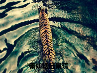 秦如烟陆景琛全文免费阅读-全网首发小说秦如烟陆景琛