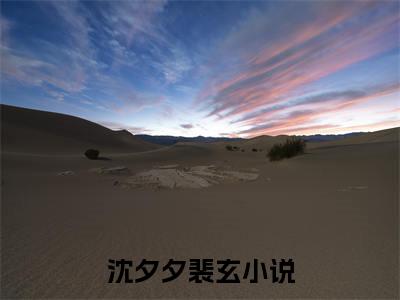 沈夕夕裴玄小说免费阅读无弹窗《沈夕夕裴玄》_沈夕夕裴玄全文阅读