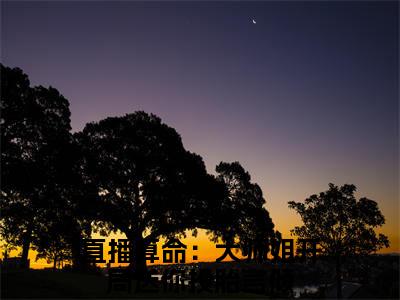 直播算命：大师姐开局送你投胎言倾全文免费阅读（直播算命：大师姐开局送你投胎言倾）全文无删减版在线阅读_直播算命：大师姐开局送你投胎言倾全文免费阅读最新章节列表_笔趣阁