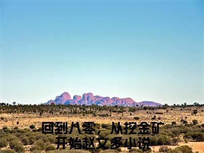 回到八零，从挖金矿开始赵文多小说（回到八零，从挖金矿开始赵文多）免费阅读全文-完整版小说（回到八零，从挖金矿开始赵文多）最新在线阅读