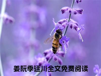 姜阮季廷川（姜阮季廷川）最新章节阅读-姜阮季廷川小说大结局