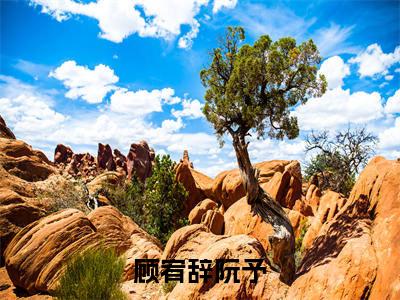 老书虫良心推荐《顾宥辞阮予》顾宥辞阮予小说精彩免费试读