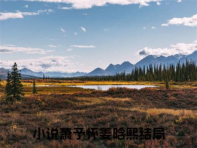 萧予怀姜晗熙小说全文 萧予怀姜晗熙小说免费阅读大结局