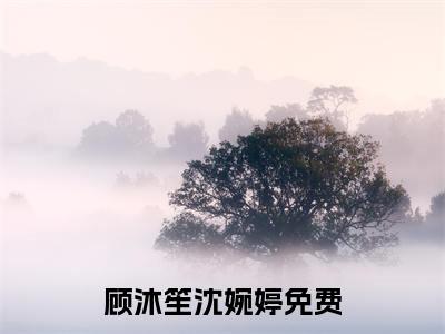 热点小说顾沐笙沈婉婷，顾沐笙沈婉婷免费章节阅读