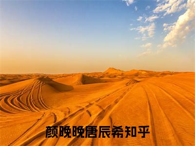 颜晚晚唐辰希（颜晚晚唐辰希）全文免费阅读无弹窗大结局_（颜晚晚唐辰希）颜晚晚唐辰希最新章节列表_笔趣阁（颜晚晚唐辰希）