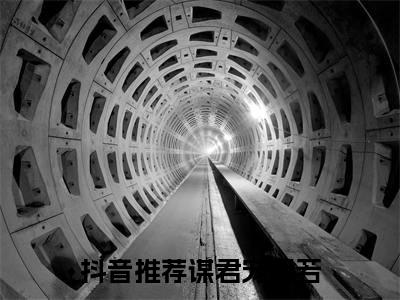 谋君宠温若（谋君宠温若）免费阅读全本资源-热门新书谋君宠温若在线阅读