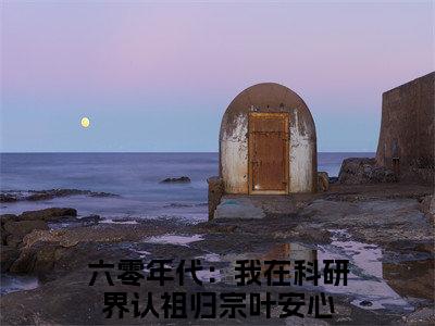 六零年代：我在科研界认祖归宗叶安心在线阅读小说推荐-六零年代：我在科研界认祖归宗叶安心免费阅读全文