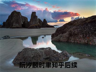 阮汐顾时聿全文（阮汐顾时聿）全文免费阅读无弹窗大结局_阮汐顾时聿免费最新章节列表_笔趣阁