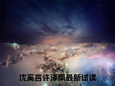 沈奚言许泽南小说全文免费阅读无弹窗，沈奚言许泽南在线阅读无弹窗