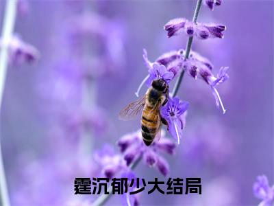 霆沉郁少热文结局在线阅读 霆沉郁少完整版小说