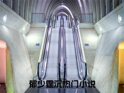 郁少霆沉（郁少霆沉）全文免费阅读无弹窗大结局_郁少霆沉最新章节列表阅读_笔趣阁