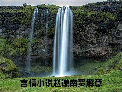 赵谦南贺解意小说最后结局(赵谦南贺解意)完结版免费阅读