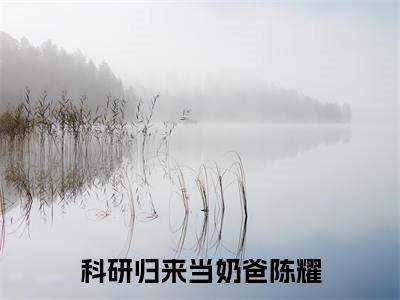 陈耀小说全文免费阅读科研归来当奶爸免费完整版阅读