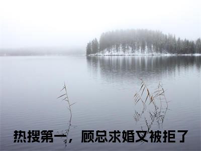 苏婉婉热搜第一，顾总求婚又被拒了全文免费阅读无弹窗大结局_热搜第一，顾总求婚又被拒了小说免费阅读