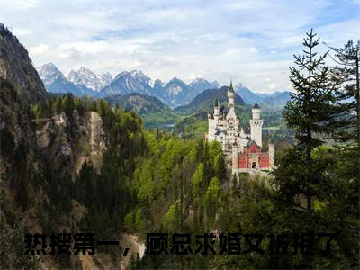 热搜第一，顾总求婚又被拒了（热搜第一，顾总求婚又被拒了）全文免费阅读无弹窗大结局_苏婉婉最新章节列表