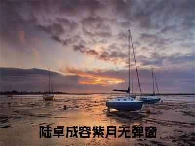 （陆卓成容紫月）小说全文免费阅读-微小说（陆卓成容紫月）完整版阅读