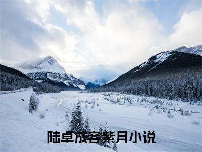 陆卓成容紫月分享一本言情小说 陆卓成容紫月免费章节试读