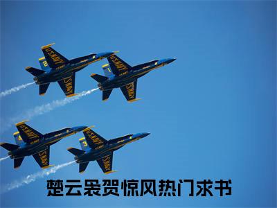 楚云袅贺惊风阅读无弹窗大结局_（楚云袅贺惊风阅读无弹窗）最新章节列表_笔趣阁（楚云袅贺惊风）