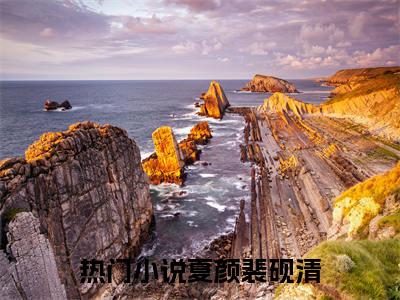 夏颜裴砚清(夏颜裴砚清)全文阅读无弹窗大结局_夏颜裴砚清免费阅读无弹窗最新章节列表
