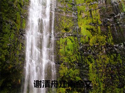谢清舟江南小说免费阅读-精选好书谢清舟江南
