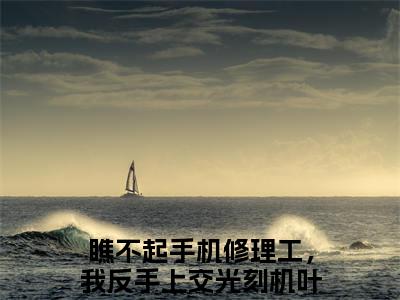 （瞧不起手机修理工，我反手上交光刻机叶辰）全文免费阅读无弹窗大结局_瞧不起手机修理工，我反手上交光刻机叶辰最新章节列表_笔趣阁