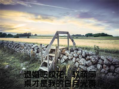 退婚吧校花，软萌同桌才是我的白月光秦宋（退婚吧校花，软萌同桌才是我的白月光秦宋）全文在线阅读无弹窗大结局_（退婚吧校花，软萌同桌才是我的白月光秦宋全文在线阅读无弹窗）退婚吧校花，软萌同桌才是我的白月光秦宋最新章节列表_笔趣阁（退婚吧校花，软萌同桌才是我的白月光秦宋）