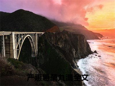 严惠惠萧九渊（严惠惠萧九渊）全文小说免费阅读-严惠惠萧九渊最新章节列表_笔趣阁
