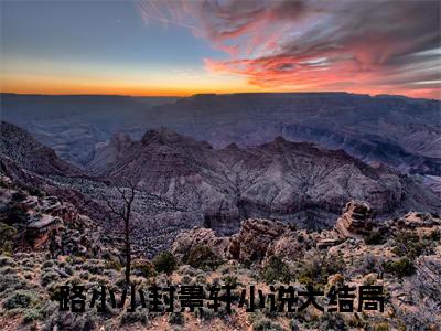 路小小封景轩新书热荐免费小说-路小小封景轩小说大结局