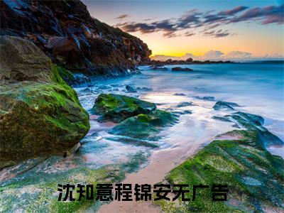 沈知意程锦安最新章节在线阅读-沈知意程锦安全文小说