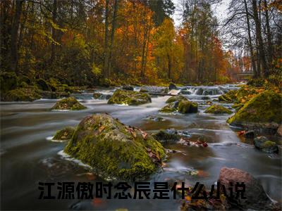 江源傲时念辰免费小说 江源傲时念辰在线小说免费阅读目录